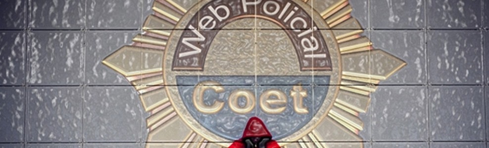 Coet_Viogen_1024_768